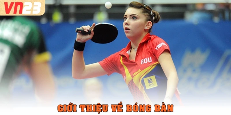 Giới thiệu về bóng bàn