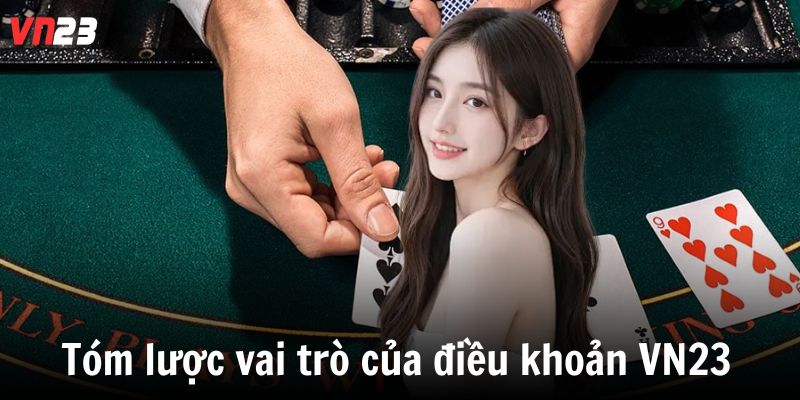 Tóm lược vai trò của điều khoản VN23